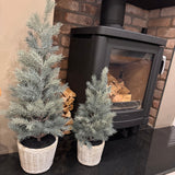 Faux Pine Tree in woven-like clay pots - 2 sizes