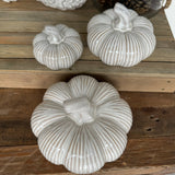 Cream Rustic Ceramic Pumpkins - Large