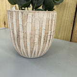 Cement Wave Plant Pot - 2 sizes