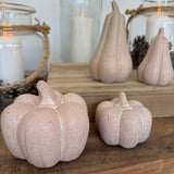 Cream Ceramic Speckled Pumpkins - 2 sizes