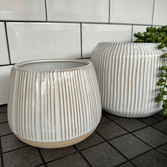 White Ribbed Ceramic Planting Pot with Natural Finish - Small H13cm and Large H16cm