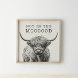 Highland Cow Frame Picture - 'Not in the Moooood!'