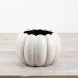 Off White Ceramic Pumpkin Planters - 2 sizes