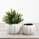 Off White Ceramic Pumpkin Planters - 2 sizes