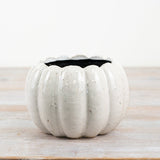 Off White Ceramic Pumpkin Planters - 2 sizes