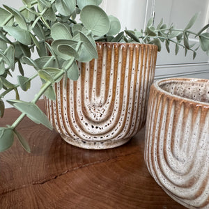 Brown Neutral Textured Glazed Dora Textured Plant Pots
Available in 2 sizes - Small 10cm &amp; Large 13.8cm