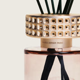 Maison Berger Celebration Nude Diffuser Gift Set