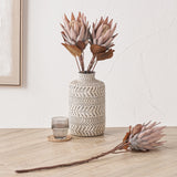 Quality stunning Faux Protea Leaf Stem H71cm - Large head made up of small florets..
Colour - Mulberry Brown