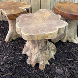 Teak Root Mushroom Mini Stool/Table 40cm