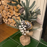 Mixed Pine with Cotton Tree in Jute Bag