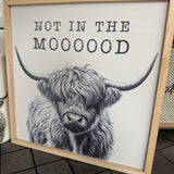 Highland Cow Frame Picture - 'Not in the Moooood!'