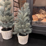 Faux Pine Tree in woven-like clay pots - 2 sizes