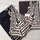 Paisley Print Scarf - Brown & Cream