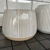 White Ribbed Ceramic Planter Pot - 2 sizes