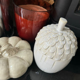 Off White Glazed Ceramic Acorn Pumpkin Storage Jar H22cm