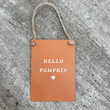Halloween Mini Metal Signs - Hello Pumpkin