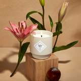 My Jolie Candle collection has collaborated with Maison Berger

My Jolie 180g Classic Candle
The Wooded Family fragrance
Fragrance - Golden Amber&nbsp;