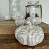 Cream Rustic Ceramic Pumpkins - Large