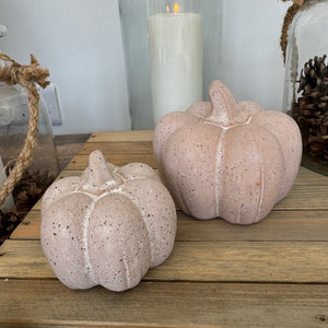 Cream Ceramic Speckled Pumpkins&nbsp; Available in 2 sizes - Small 8.5cm &amp; Large 10.5cm