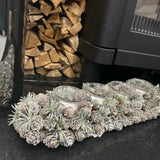 Frost Pinecone T-light Holder L43cm