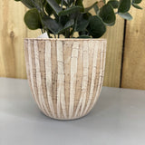 Cement Wave Plant Pot - 2 sizes