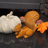 Ceramic highly glossed caramel-brown crouching Squirrel with a textured bushy tail H13cm