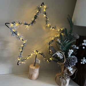 LED Light Up Pine Star on Stand