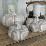 Cream Rustic Ceramic Pumpkins - Large