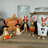 Halloween hanging Ruth Rabbit witch