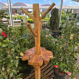 Teak Bird Feeding Station  *CLICK & COLLECT ONLY*
