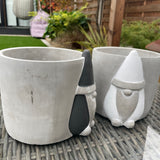 Wikholmform - Unique design & products from Scandinavia Concrete Santa Aston Gonk Plant Pots 14cm - Black or Grey