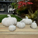 Cream Rustic Ceramic Pumpkins - Large