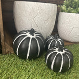 Black Concrete Pumpkins with White lines for effect Available in Small 8.5cm and Large 12cm approx