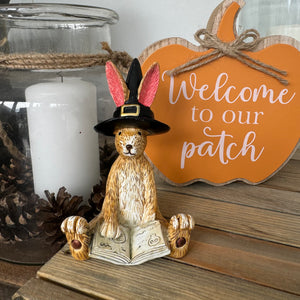 Sitting Ruth Rabbit Figure wearing a Witches hat and reading a Spell book H10cm