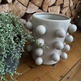 Artificial Potted Senecio Plant H20cm