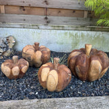 Teak Pumpkins - 4 sizes  *CLICK & COLLECT