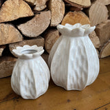Cream ribbed Poppy Seed Vases (similar in style to our Lillian collection)&nbsp; &nbsp;
Available in two sizes - Small H13cm &amp; Large H18cm&nbsp;