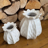 Poppy Seed Vases | 2 Sizes