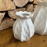 Poppy Seed Vases | 2 Sizes
