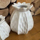 Poppy Seed Vases | 2 Sizes