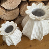 Poppy Seed Vases | 2 Sizes