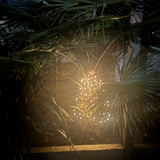Illuminating ideas by LightStyle London

Solar Monstera H92cm Large Leaf Stake 116LEDs
