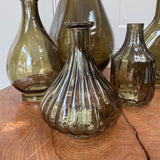 Olive Green Glass Vase Collection - 5 styles