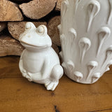 Off White Ceramic Fun Frogs - 2 designs
