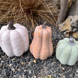 Ceramic Pumpkin - Wide Cotton White