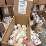 Hollie Tree Luxury Botanical Wax Melts - Mix & Match