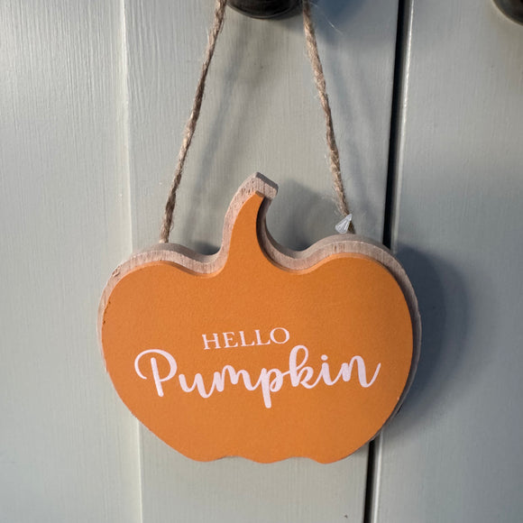 Add this sign to your Autumnal wreath in the centre; Orange Wooden Pumpkin shaped hanging quotable sign 10cm
Quote in white text - 'Hello Pumpkin' 