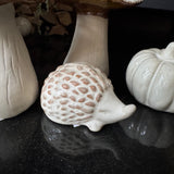 Ceramic Rustic Beige Hedgehog Decoration