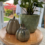 Caramel Ceramic Glazed Pumpkins&nbsp;
Available in 2 sizes - Small 10cm &amp; Large 15cm
