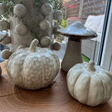 Beige Mottled Ceramic Pumpkins
Available in 2 sizes - Small 7.5cm &amp; Large 10cm